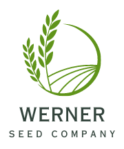 Werner Seed